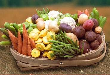 Vegetable-Basket 22