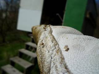 image012