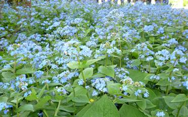 image028