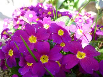 image036